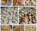 连云港灌南县电厂鹅卵石米黄色鹅卵石生产供应商图片