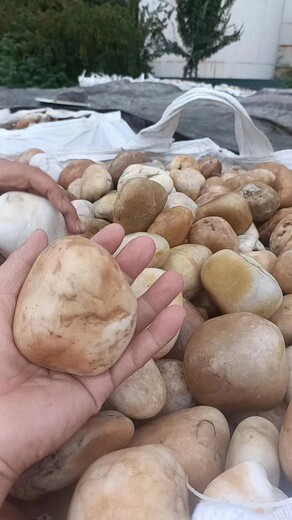 巴彥淖爾烏拉特前旗米黃色鵝卵石價格