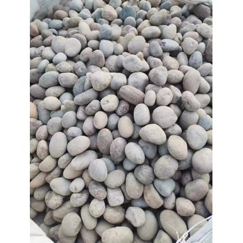百色右江區(qū)米黃色鵝卵石變壓器濾油池一噸價格