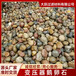白山鵝卵石5-8公分變壓器油池鵝卵石銷售