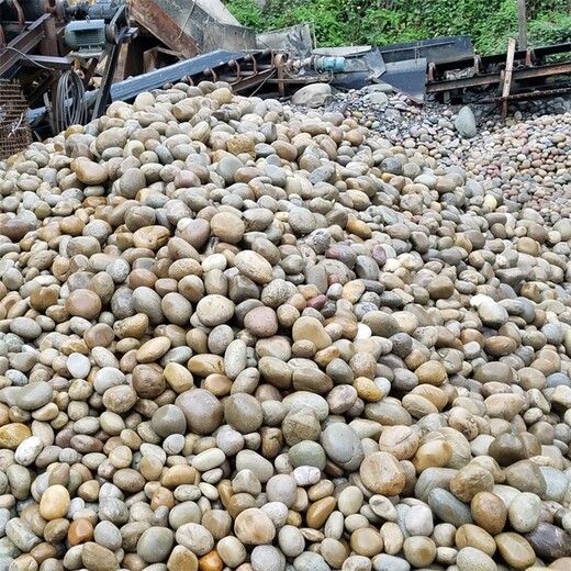 牡丹江鵝卵石油池變壓器鵝卵石5-8厘米供應(yīng)商
