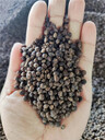礦源黃腐酸鉀顆粒水溶肥：，添加更方便可以撒施的菌水溶肥
