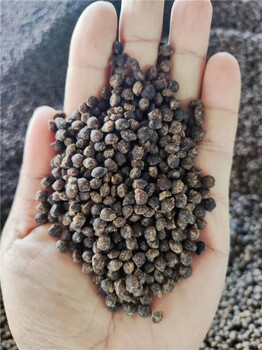 濟(jì)寧金山生物可以撒施的黃腐酸鉀顆粒水溶肥全溶