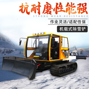 游乐场履带压雪车全自动液压平雪机人工滑雪场整平机