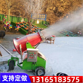 廠家飄雪機(jī)人工造雪機(jī)室外制雪噴雪機(jī)雪花室內(nèi)冰雪樂園