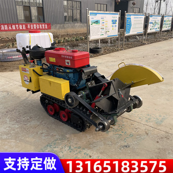 履帶式馬路切割機可裝雙鋸片路面切縫機遙控馬路切割機