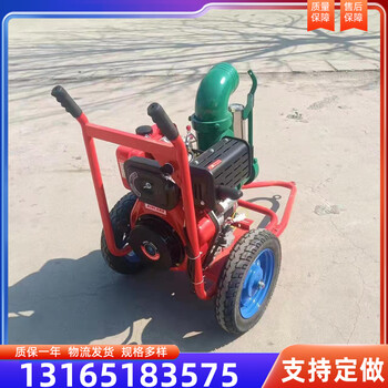 山園林自吸抽水機(jī)2/3/4/6寸農(nóng)用灌溉高壓高揚(yáng)程汽油機(jī)水泵