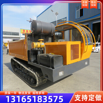 履帶運(yùn)輸車生產(chǎn)廠家農(nóng)用履帶運(yùn)輸車報(bào)價(jià)全地形鏈條式履帶爬山虎