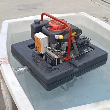 水域救援浮挺泵手臺式消防抽水泵多用途可漂浮機(jī)動泵