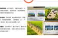汕頭本地做節能評估報告公司-在運營或者補手續項目