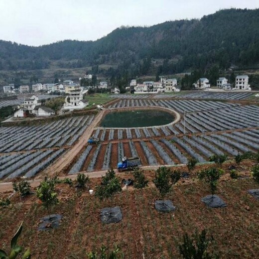 德陽(yáng)PE防草布作用四川防草布除草布廠家