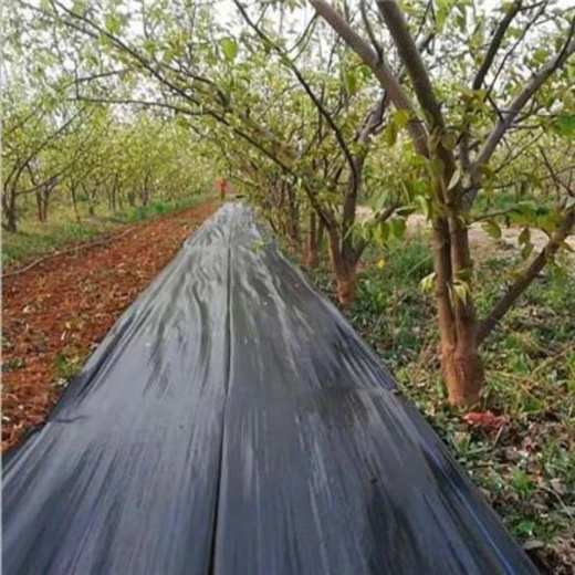 pp100克防草布發(fā)貨使用年限,黑色地布