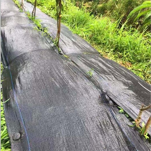 徐州市防草布價(jià)格表除草布經(jīng)理給您報價(jià)
