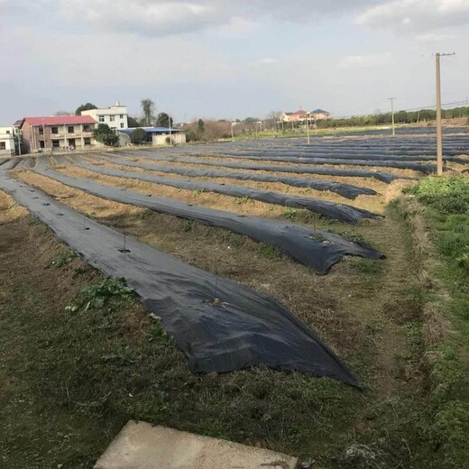 岳池县除草布哪里卖编织布德州有卖防草布成本