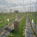黃岡市pe90克除草布批發(fā)果園防草布廠(chǎng)家