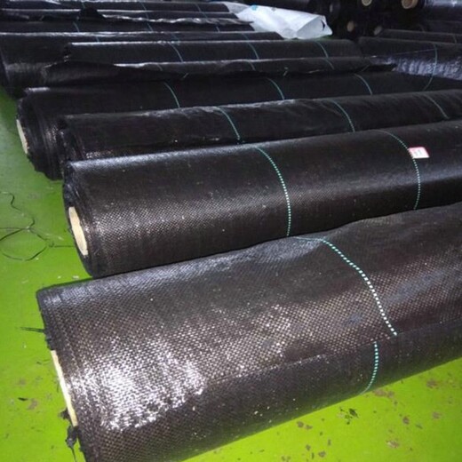 75克PE除草布,北京pp防草布報價(jià)