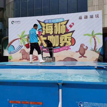 海獅表演租賃海獅表演出租企鵝展租賃