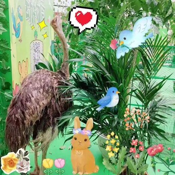 春暖花開百鳥展出租鸚鵡表演租賃百鳥展租賃服務