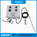 寶威燃控生產(chǎn)AC220V遠程遙控自動點火裝置防爆高能點火器
