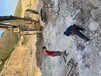 海拉爾液態(tài)氣體爆破設備批發(fā)市場