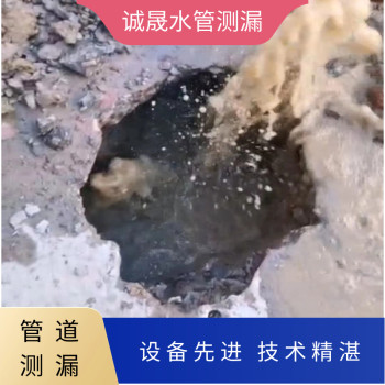 苏州高新区管道漏水检测公司电话查漏检测地下水管漏水