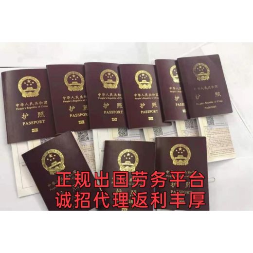 远境劳务上海出国劳务保签纸箱厂叉车包机票