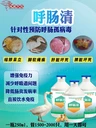 鵝呼腸孤病毒導(dǎo)致腿瘸，混感傷亡量大，飲水抗體呼腸清輕松解決