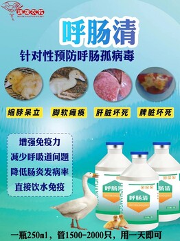 鵝呼腸孤病毒導致腿瘸，混感傷亡量大，飲水抗體呼腸清輕松解決