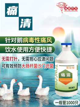 養鵝批批得痛風，是控料方式不對嗎？