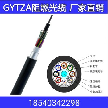 GYTZA-8B1GYTZA8芯单模光缆GYTZA阻燃国标光缆管廊阻燃光缆