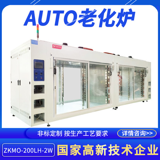 性能稳定热风恒温炉ZKMO-200LH-2W定制网带隧道式AUTO老化炉厂家