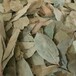 解讀！驢皮進(jìn)口清關(guān)知識(shí)知多少？驢皮快速報(bào)關(guān)報(bào)檢看這里