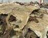 跟大家分享一下驢皮進(jìn)口清關(guān)經(jīng)驗(yàn)，讓您少走點(diǎn)彎路！