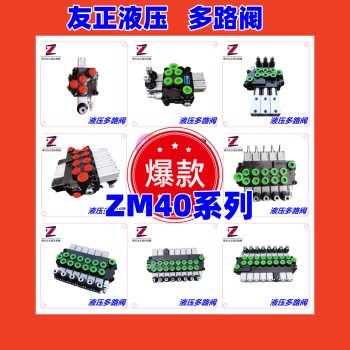 ZM40MD-T/OOAY中梅液压同款多路阀1-10联多种类分配器液压阀