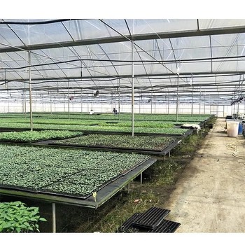 供應揭陽搭鋼架大棚工程每畝造價