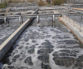 宁波废水一体化处理设备-上海污水处理设备/诚意合作