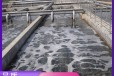 泰州屠宰废水处理设备屠宰场废水处理工程设计
