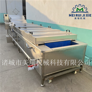 腌蘿卜加工設備全自動(dòng)氣泡清洗機蔬菜清洗風(fēng)干設備
