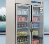 洛德商用冰箱DBG1.0L2LD大二门冷藏展示柜二门风冷无霜保鲜柜