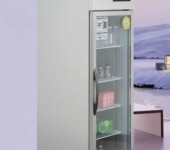 洛德商用冰箱GB0.4L1LD大单门冷藏展示柜直冷冷藏保鲜柜