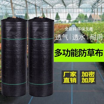 上海防草布生產(chǎn)廠家果樹鋪除草地布很好農(nóng)用蓋草布廠家