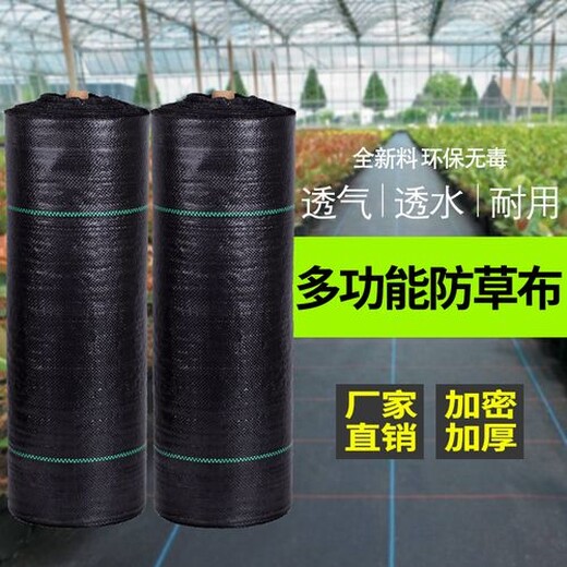 云南1米寬防草布規(guī)格全菊花種植用園藝地布四方形柑橘除草布