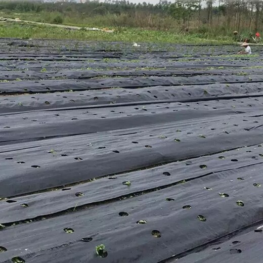 春季農(nóng)田除草妙招：防草布的選用與使用指南