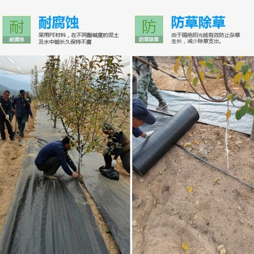 黑龍江蔬菜防草布使用方法藥材種植用除草地布抗暴曬防草布貴么