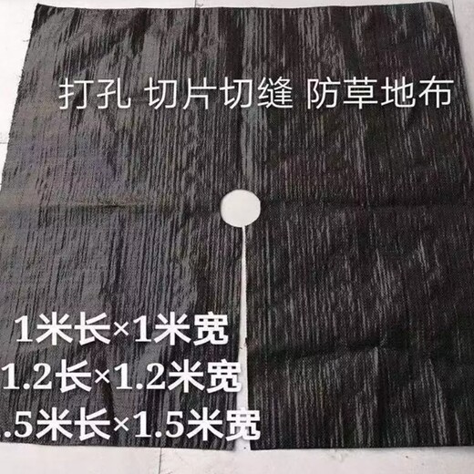 一畝防草布多少錢防草布廠家-防草布價格防治雜草生長
