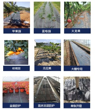 吐魯番市_葡萄園防草布防草布