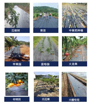 吐魯番市_葡萄園防草布防草布