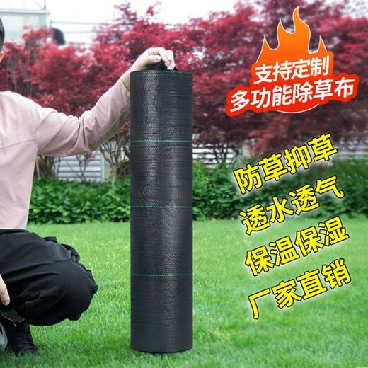 柑橘?柑桔園生態(tài)防草布一顆果樹鋪一張PE防草布