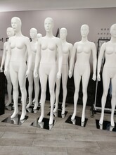 模特出租人台租赁服装人台租借假人租赁_服装模特租赁