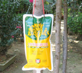 郑州树木营养液古树移栽吊袋液园林树木激活液
